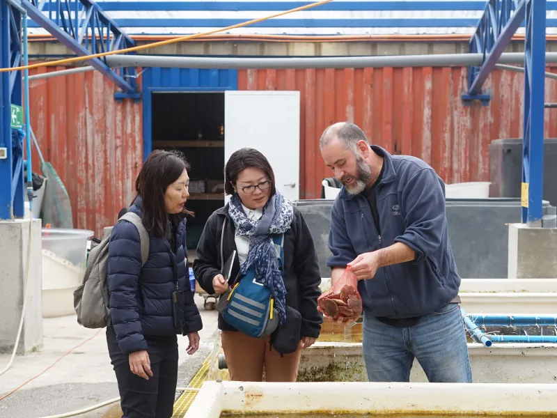Académicas de la Universidad de Tokio visitaron Fundación Chinquihue para investigar el desarrollo de la acuicultura en el sur de Chile