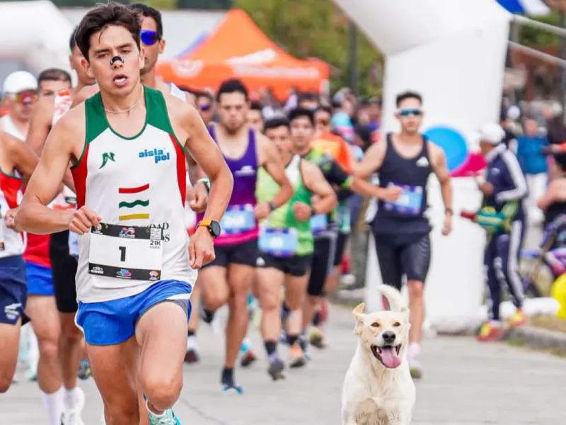Alta participación de corredores en media maratón de Los Muermos