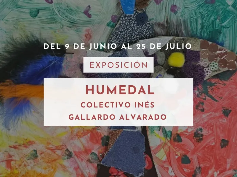 Centro Cultural Bosque Nativo inaugurará exposición infantil sobre humedales y conciencia ambiental