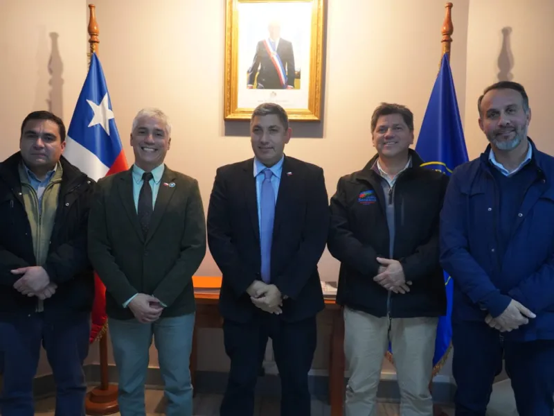Comisión de Innovación del CORE busca impulsar la creación del Día Nacional de la Papa para destacar patrimonio agrícola de Los Lagos