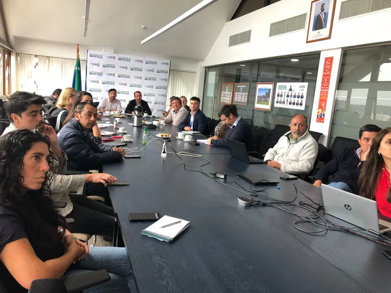 Comisión de Medioambiente del Consejo Regional solicitará medidas de mitigación a empresas salmoneras y mayores atribuciones para Sernapesca frente a último escape de salmones desde el Lago Llanquihue