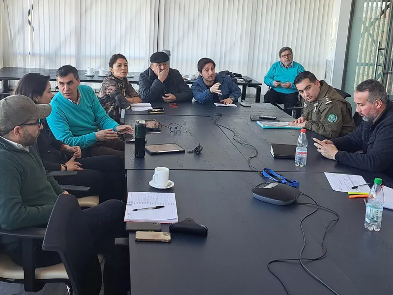 Comisión Llanquihue del CORE expresó preocupación por la lentitud en la tramitación de proyectos de Carabineros para zonas fronterizas