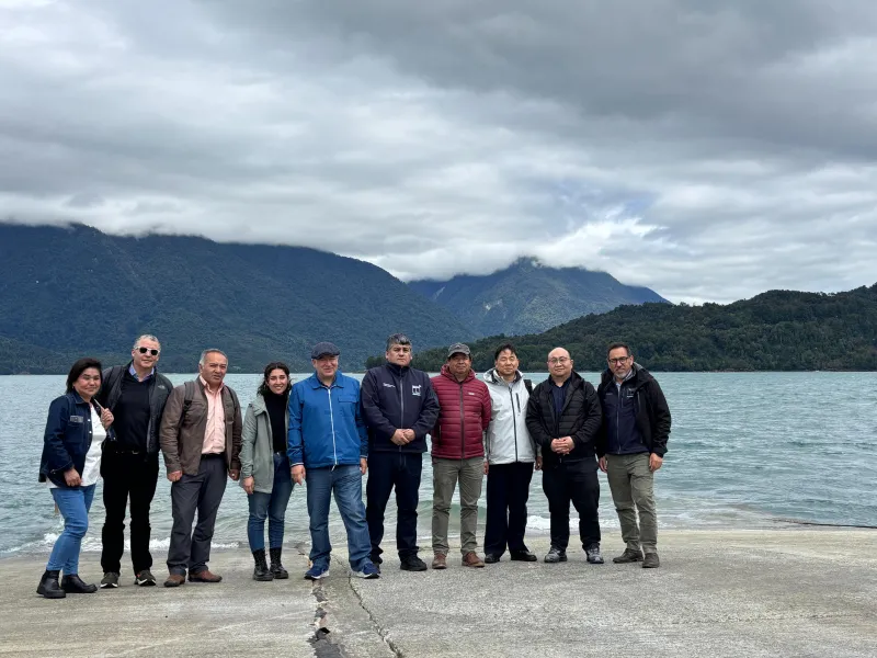 Delegación de expertos de la Universidad Marítima de Shanghái visita Hualaihué para abordar desafíos entre pesca artesanal y mamíferos marinos