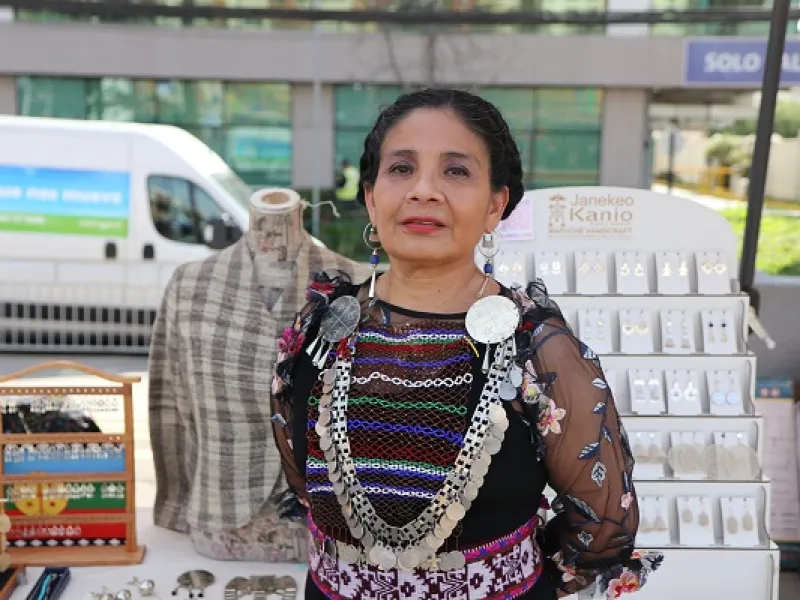 Emprendedores de Los Lagos podrán optar a apoyo gratuito para formalización de negocios