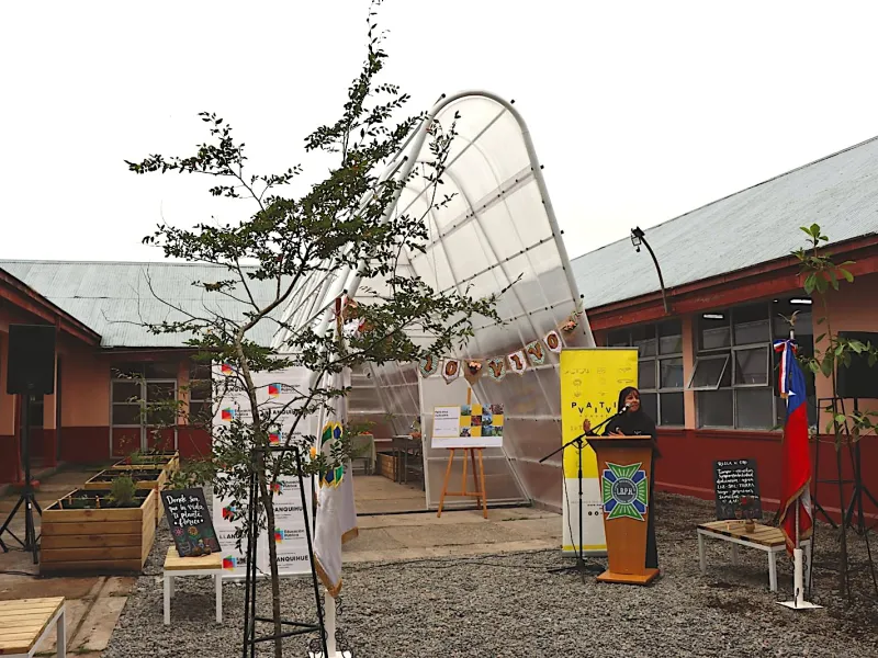 En Liceo Holanda de Llanquihue se inauguró Patio Vivo Cultivable