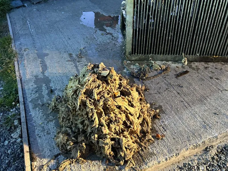 Fiestas de fin de año: Llaman a hacer buen uso del alcantarillado para evitar obstrucciones