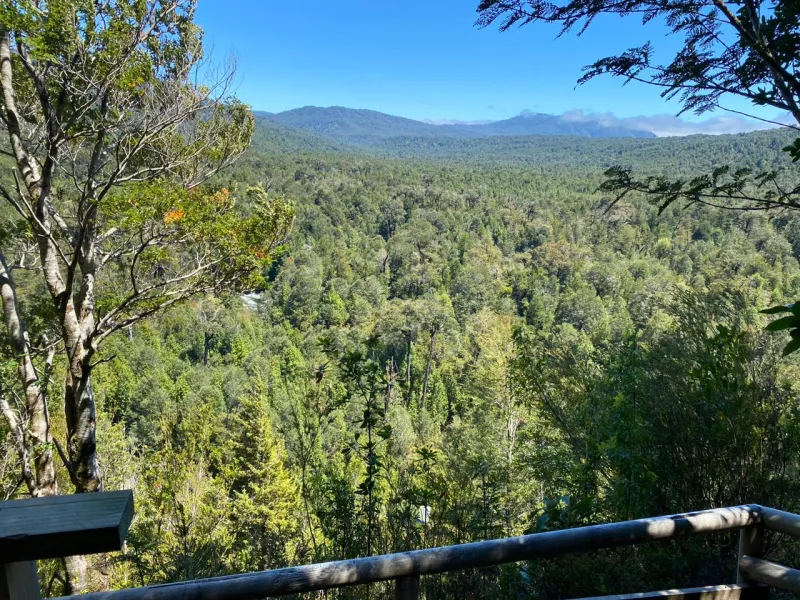 Fue Inaugurado Nuevo Mirador de Laguna Sargazo en el Parque Alerce Andino