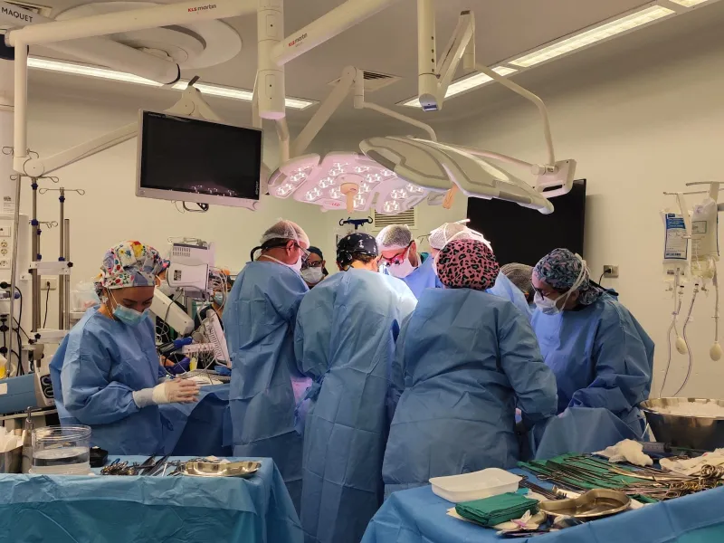 Hospital Puerto Montt anunció segunda donación de órganos de este 2025 beneficiando a múltiples receptores