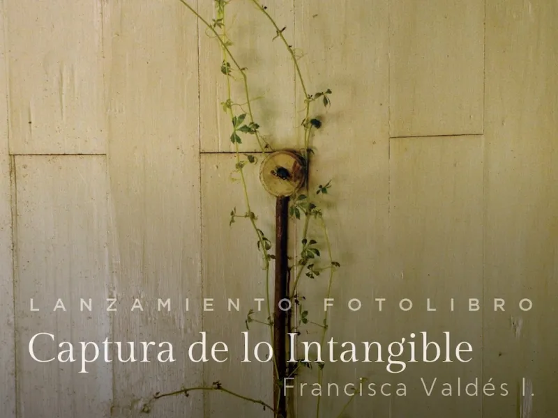 Lanzamiento Foto Libro “Captura de lo Intangible”:  memoria colectiva patrimonial de la Región de Los Lagos
