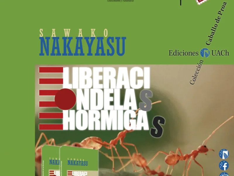 Literatura nipona de vanguardia llega a Ediciones UACh