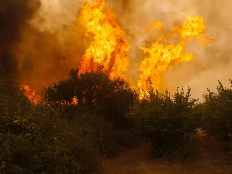 Los factores que explican el aumento de incendios forestales