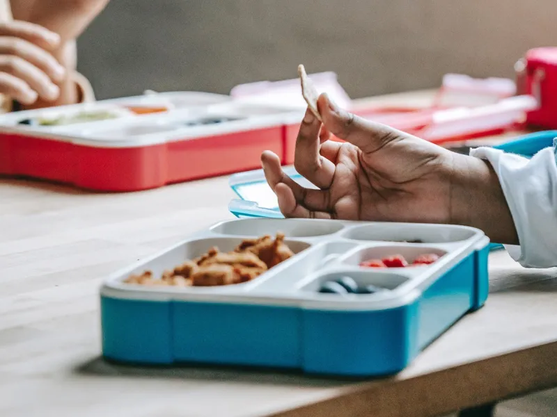 Mantenga sus alimentos en buen estado en esta vuelta a clases