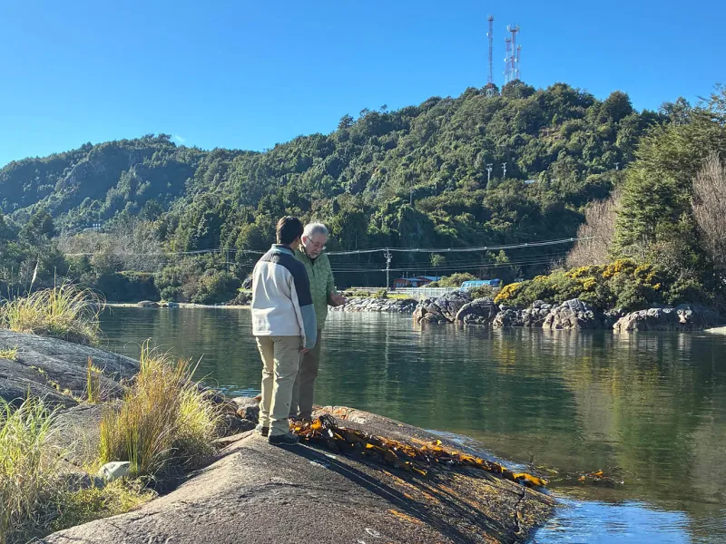 “Más que Algas”: nueva serie web de MASH muestra el trabajo científico detrás de las macroalgas chilenas