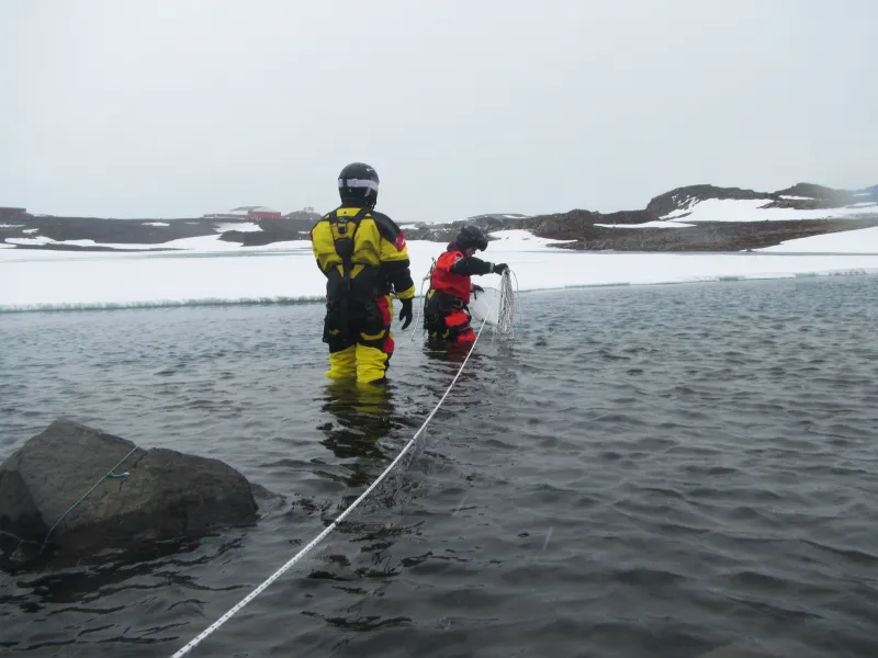 Nueva investigación estudia el lago más grande de la Isla Rey Jorge en Antártica