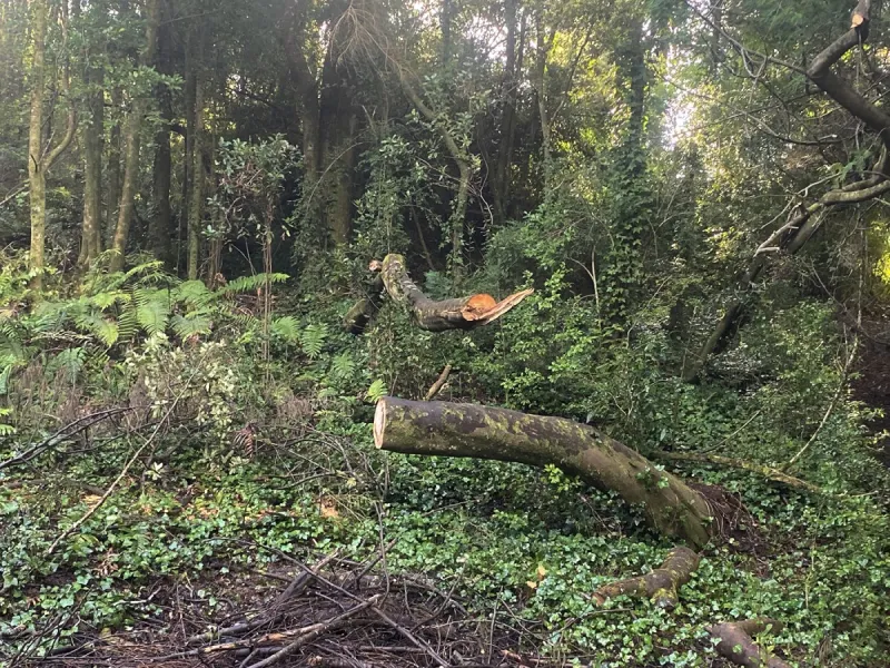 [OPINIÓN] Cerro Philippi, tierra de nadie