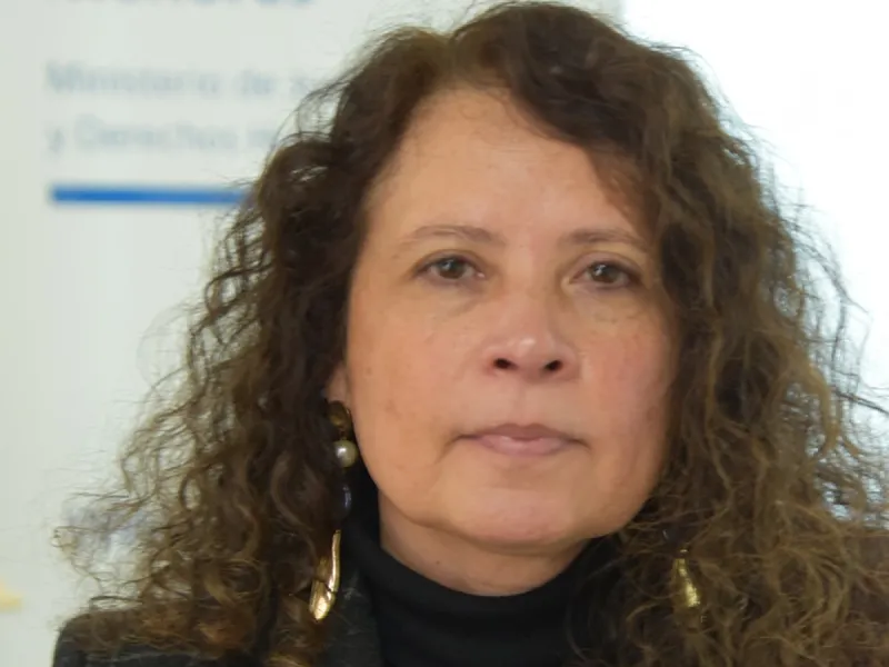 [OPINIÓN] "Niñez y adolescencia en Pandemia: El desafío de reforzar sus derechos". Por Lilian Peña Castillo, Directora Regional Sename