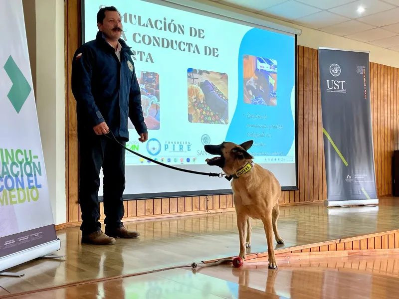 Proyecto innovador permitió adiestramiento de mascotas para ayudar a personas mayores