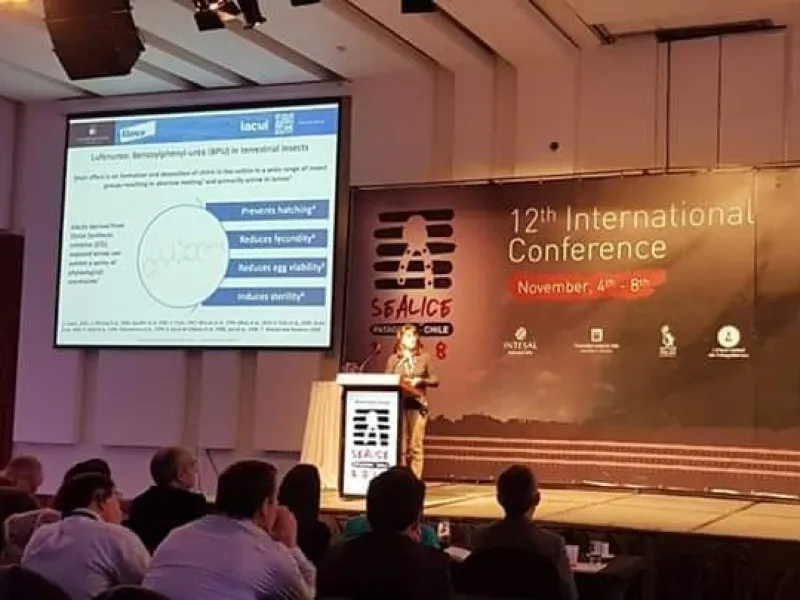 Puerto Varas será sede de la conferencia científica más importante del mundo sobre ciencia acuícola