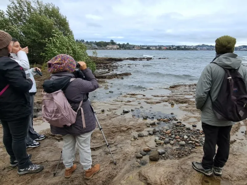 Se realizó Cuarto Censo de Aves en Puerto Varas