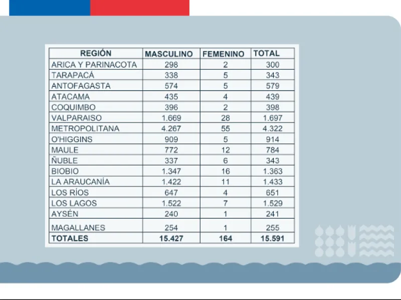 Hay 1.529 personas inhabilitadas para trabajar con menores de edad en la región de Los Lagos