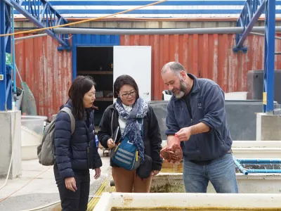 Académicas de la Universidad de Tokio visitaron Fundación Chinquihue para investigar el desarrollo de la acuicultura en el sur de Chile