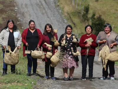 Agricultoras de la Región de Los Lagos participarán en la ExpoMundoRural INDAP 2024 en Santiago