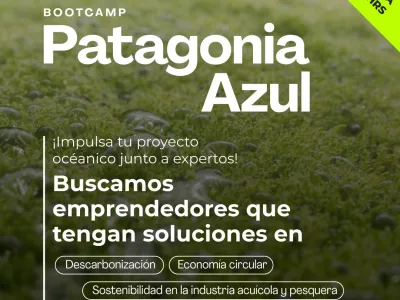 Bootcamp Patagonia Azul: Extienden convocatoria para impulsar soluciones innovadoras en la Economía Azul