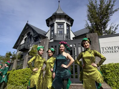 Carnaval del Sur sorprendió con colores y fantasía a Puerto Varas