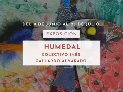 Centro Cultural Bosque Nativo inaugurará exposición infantil sobre humedales y conciencia ambiental