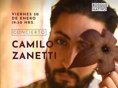 Concierto en Bosque Nativo: Camilo Zanetti se presentará este viernes con material inédito
