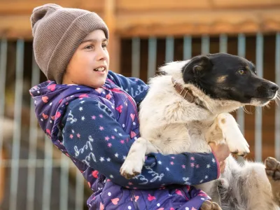 Cuidado de mascotas ante emergencias