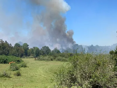 Decretan Alerta Temprana Preventiva para la Provincia de Llanquihue por riesgo de incendios forestales