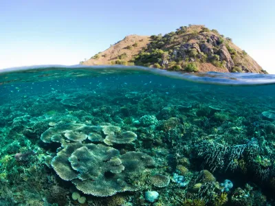 Día Internacional contra el Cambio Climático: ¿Por qué los arrecifes de coral son esenciales en un planeta que ya alcanzó su punto de inflexión climático?