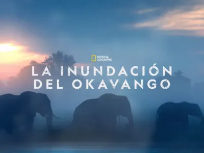 Documentales National Geographic en Disney Plus