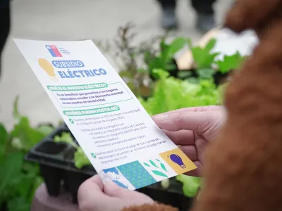 El 96% de los postulantes se adjudicaron el subsidio eléctrico en Puerto Varas