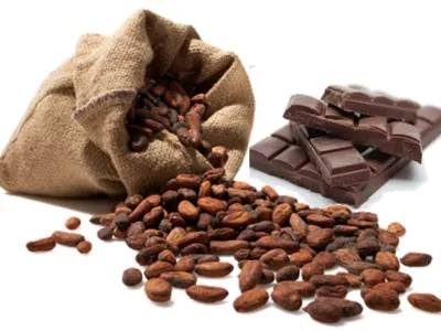 El chocolate y la salud 