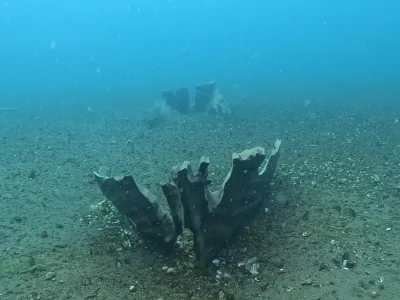 Encuentran canoa ancestral “wampo” en las profundidades del Lago Llanquihue