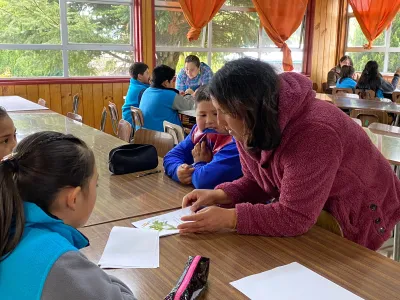 Estudiantes de escuelas rurales El Melí de Los Muermos, Epson de Ensenada y Escuela Bernardo Philippi de Frutillar aumentaron habilidades lectoras con proyecto Innova FOSIS