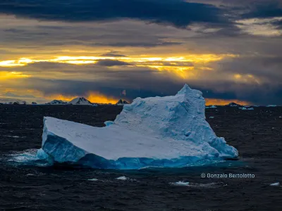 Estudio alerta sobre intensas olas de calor marinas en la Antártica