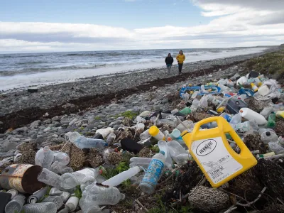 Greenpeace: los cuatro ejes medioambientales donde poner urgencia en Chile