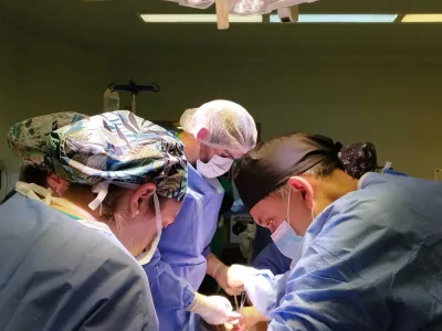 Hospital Puerto Montt confirma segundo procuramiento de órganos de este 2024