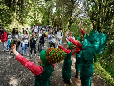 Hoy sábado se presenta el gran espectáculo de Carnaval del Sur