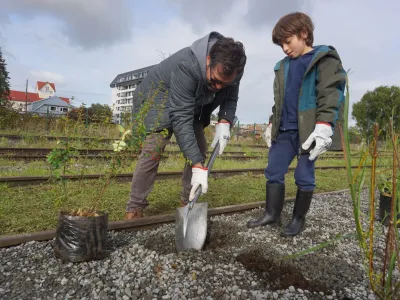Hoy se realizará una nueva jornada de plantación participativa para el Corredor Verdeazul de Puerto Varas