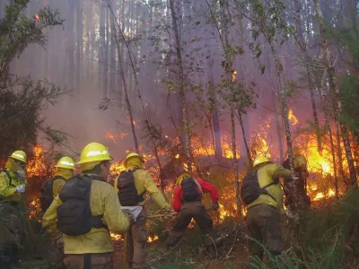 Incendio Forestal en Chin Chin obligó a Crell a desenergizar líneas eléctricas para permitir trabajo de brigadas de Conaf y Bomberos