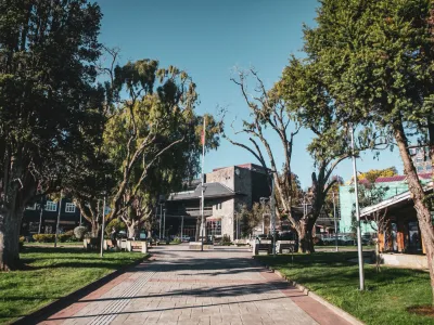 Informe advierte riesgo "extremo" de fractura en al menos dos árboles de la Plaza de Armas de Puerto Varas