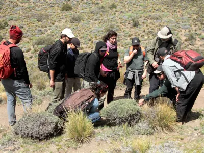 Lanzan curso gratuito sobre la Ruta de los Parques de la Patagonia para el sector turístico