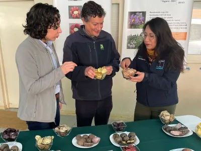 Ministerio de Agricultura destacó patrimonio genético y culinario de las papas