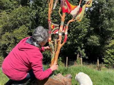 Muestra Audiovisual y de Esculturas Textiles “Meli Anumün” inicia su recorrido por la Región de Los Lagos