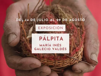 “Pálpita”: La profunda conexión entre la papa y el corazón llega a Centro Cultural Bosque Nativo de la mano de la artista María Inés Galecio