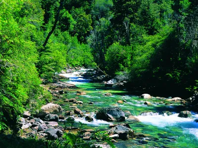 Parque Nacional Vicente Pérez Rosales en recta final para  ingresar a Lista Verde de áreas protegidas de UICN